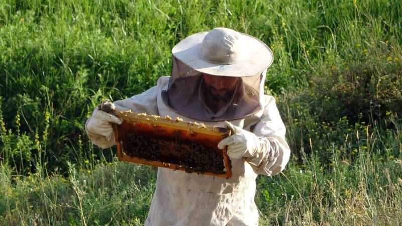 Devletin desteğiyle aracılık yapmaya başladı, 500 kilo bal elde etmeyi başardı
