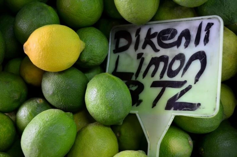 Turunçgilde yeni sezon erkenci limon hasadıyla başlıyor