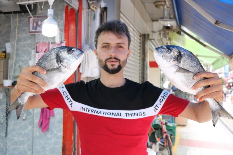 Palamut yüz göstermedi
