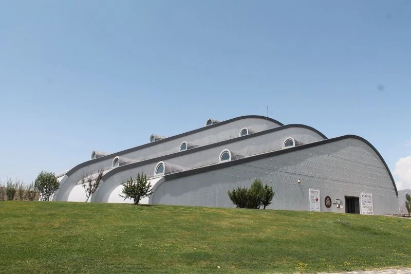 Baksı Müzesi iki yeni sergisiyle sanatseverleri bekliyor
