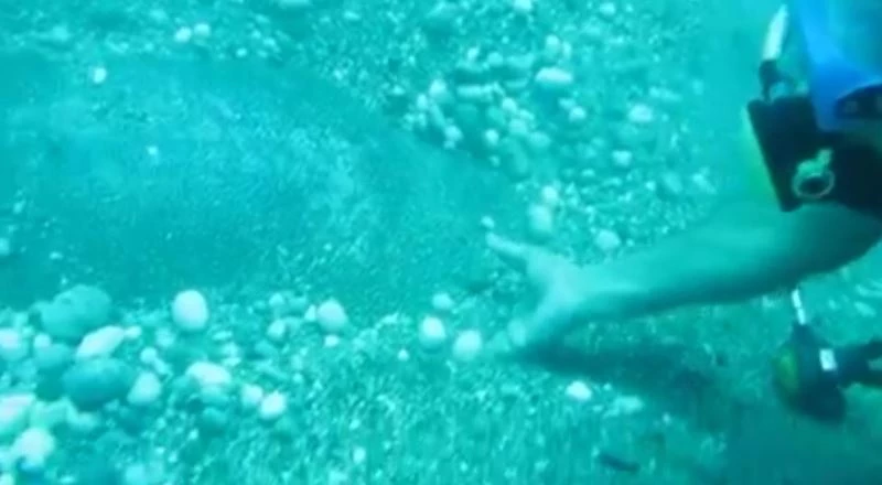 Dünyaca ünlü sahilde Nil Kaplumbağası böyle görüntülendi
