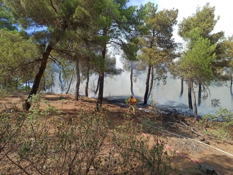 Uşak’taki orman yangınında 2 buçuk hektar alan kül oldu
