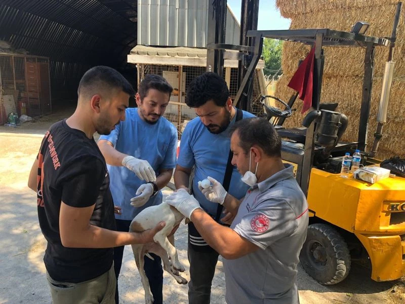 MSKÜ yangın yaralarının sarılması için sahada
