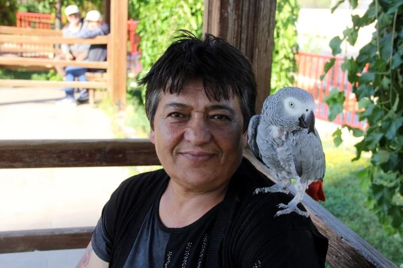 Kredi çekerek aldığı papağanını bir saniye bile yanından ayırmıyor

