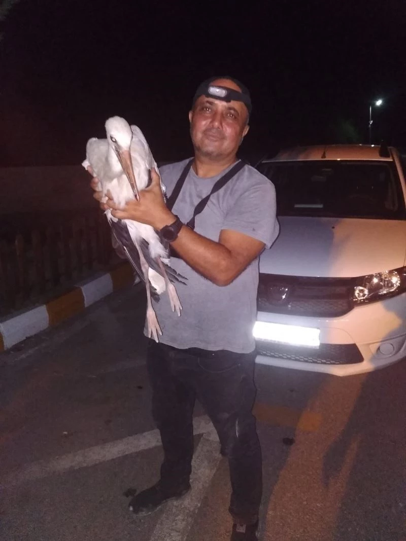 Yaralı bulduğu leyleği Tarsus Doğa Parkı’na teslim etti
