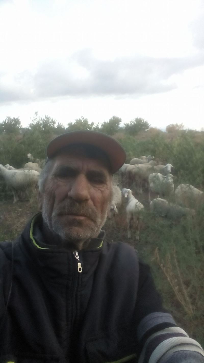 Kıbrıs gazisi, koyunlarını ekili arazilerden kovalarken kalp krizinden öldü
