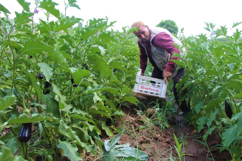 Kendi ektiği sebzeleri 15 yıldır yol kenarındaki tezgahında satıyor
