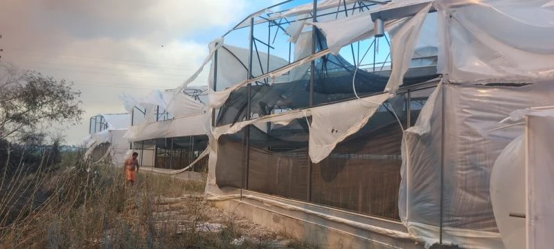 TARSİM’den yangın ve sel hasarları hakkında son durum değerlendirmesi
