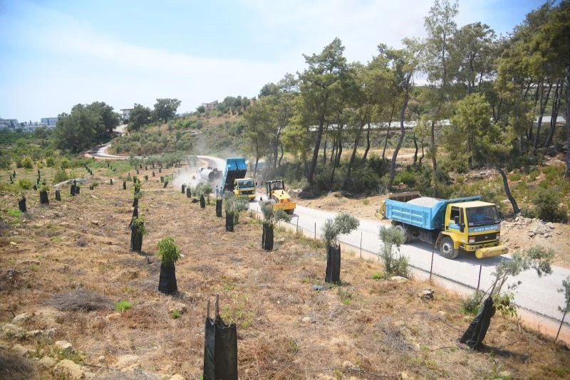 Alanya Belediyesi’nden batı mahallerine asfalt çalışması
