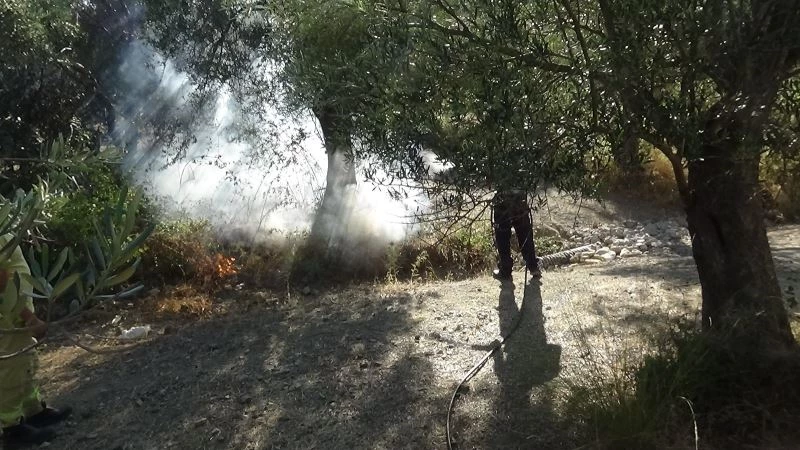 Kazdağları eteklerindeki zeytinlik yangını devriyelerin dikkati sayesinde büyümeden söndürüldü
