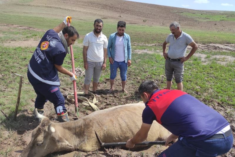 Özalp’ta çamura saplanan büyükbaş hayvan kurtarıldı
