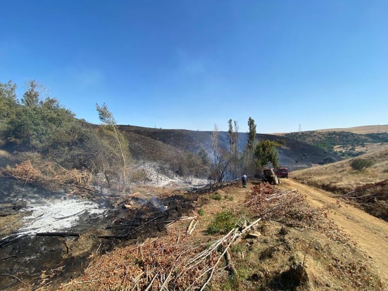 Kaynak makinasından çıkan yangın 300 hektarlık alanı kül etti
