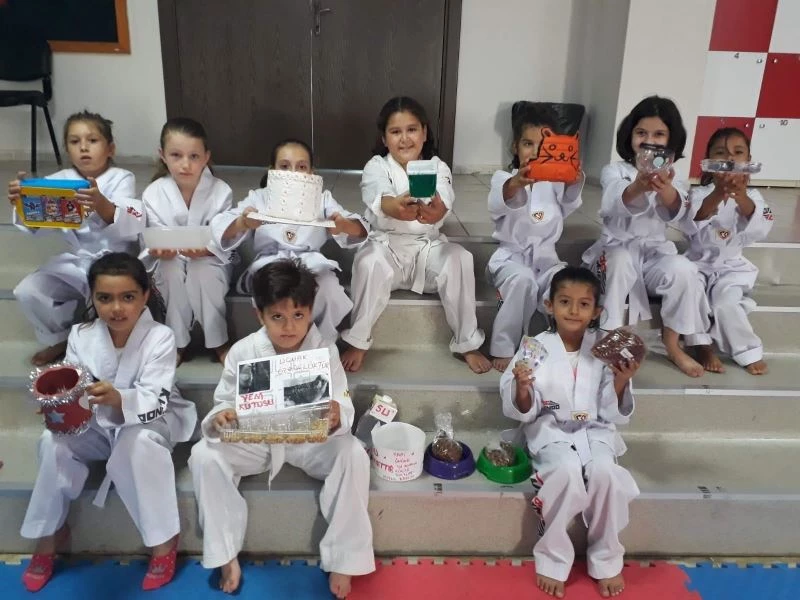 Tekvando öğrencileri, sokak hayvanları için mama kabı yaptı
