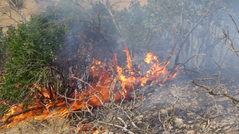 Şemdinli’deki orman yangını korkutuyor
