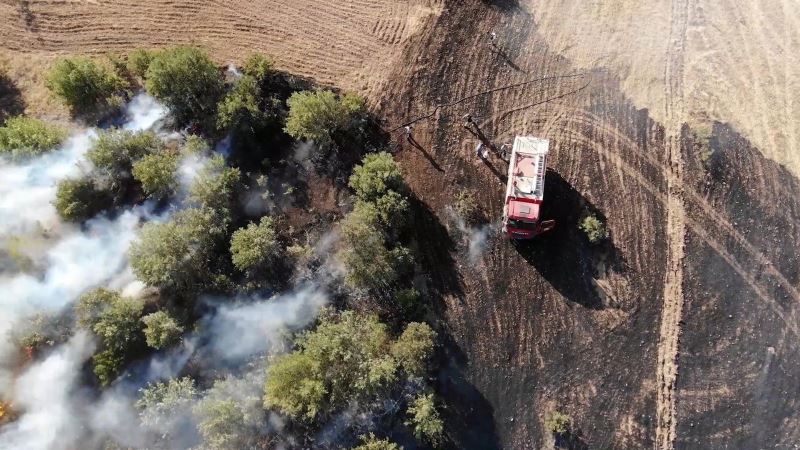 Anız yangını ormana sıçradı: Erken müdahaleyle yüzlerce ağaç kurtarıldı
