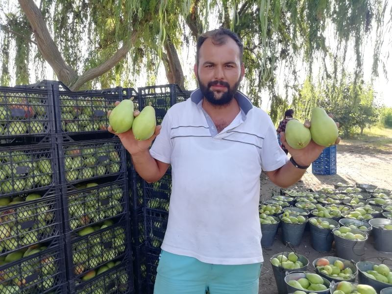 Baba ve oğlunun yetiştirdiği meyvelere yoğun talep
