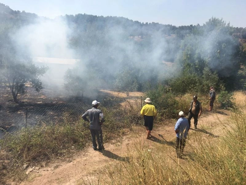 Ormanın bitişiğinde bulunan tarım arazisindeki yangın korkuttu
