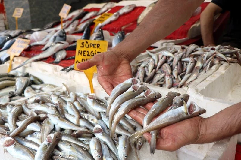 Mezgit ve barbun tezgaha gelince balığa rağbet arttı
