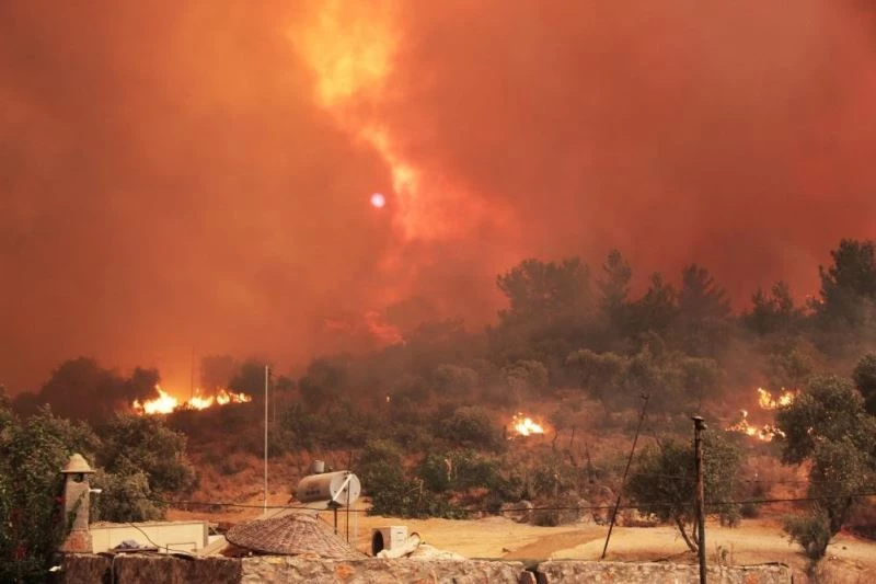 Muğla alevlerle boğuşuyor

