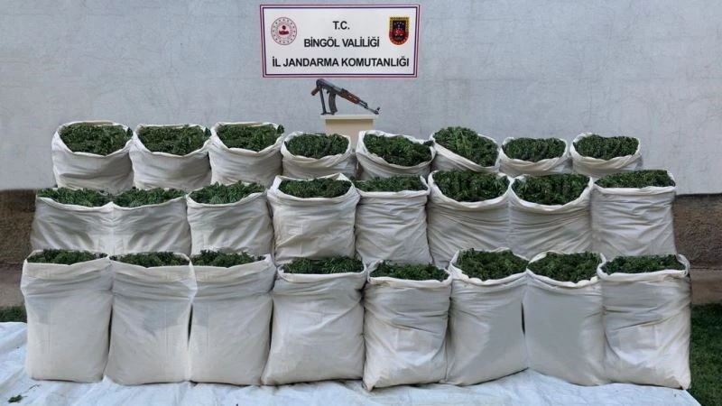 Bingöl’de 665 kilo esrar, 10 bin kök kenevir ele geçirildi
