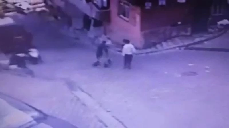 (Özel) İstanbul’da ilginç hırsızlık: “Martıyı” üzerine binip çaldılar, yunus polisine yakalandılar
