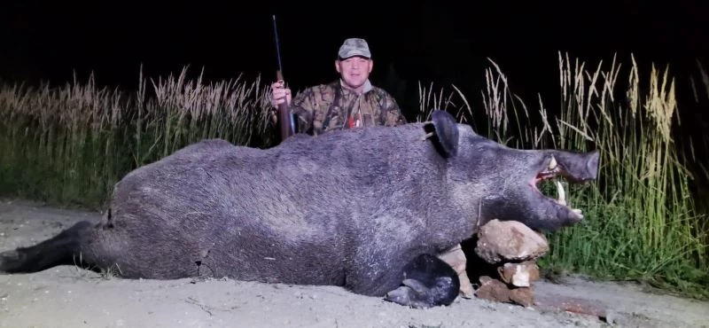 Yabancı avcılar Yozgat’ta 350 kilo ağırlığında yaban domuzu avladı
