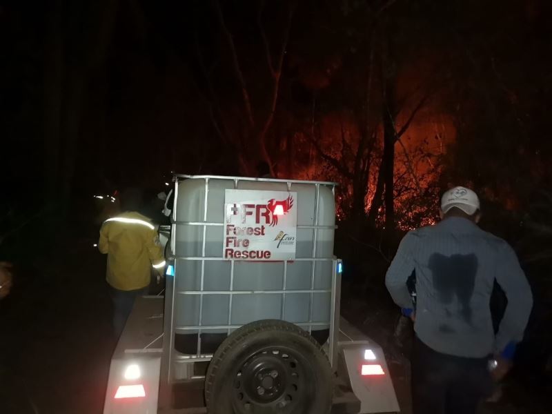 Bolivya’da orman yangınları: 280 bin hektarlık alan küle döndü
