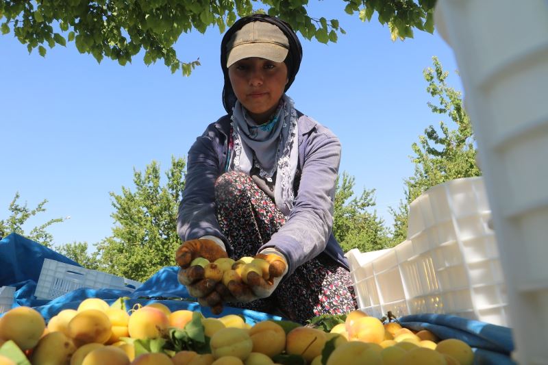 Malatyalılardan 