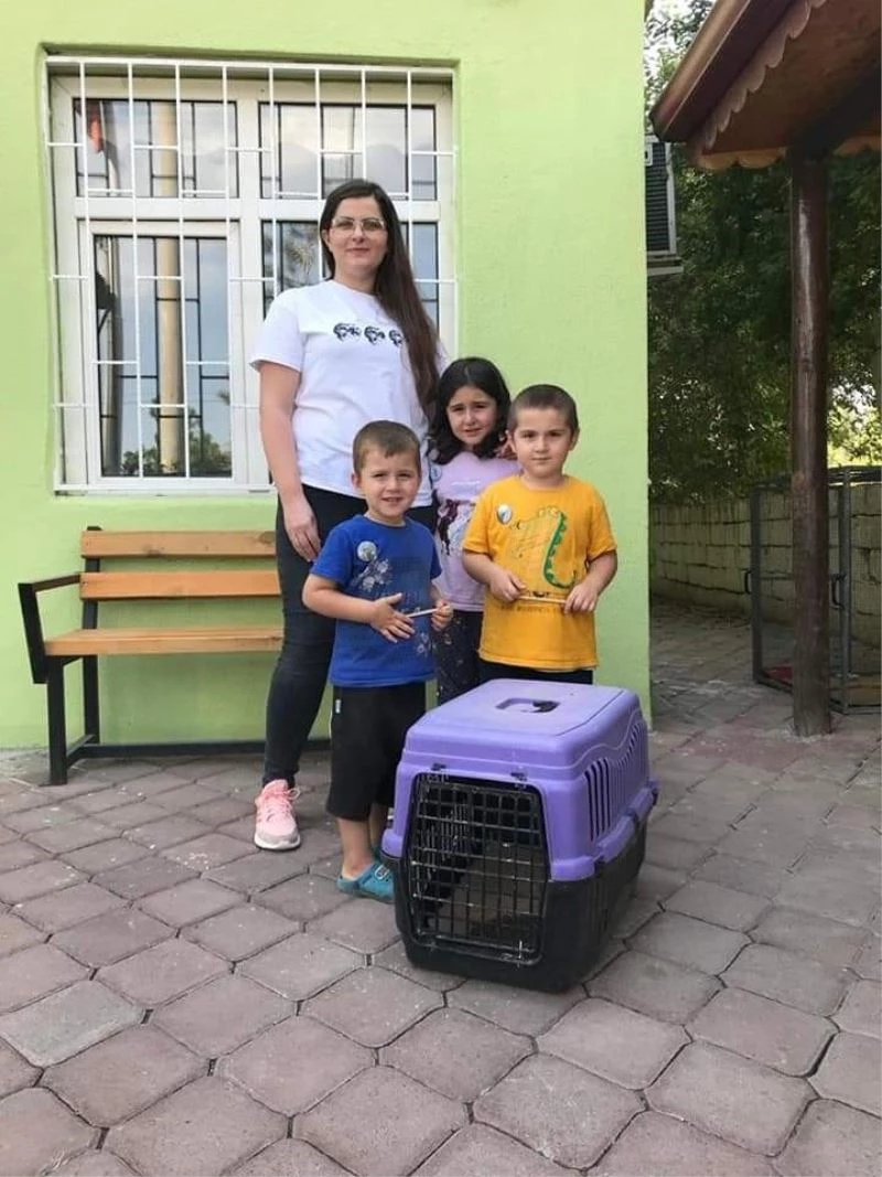 Minik doğa severlerin bulduğu kirpi, bakımı sonrası doğaya bırakıldı
