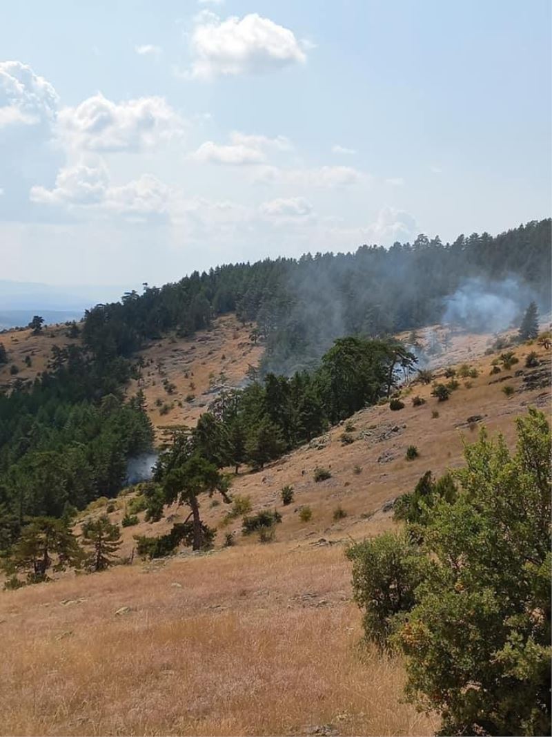 Bolu’da 1 hektarlık orman yangında zarar gördü

