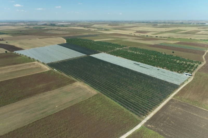 Devletin hibe sağladığı elma ve armut bahçesine droneli denetim
