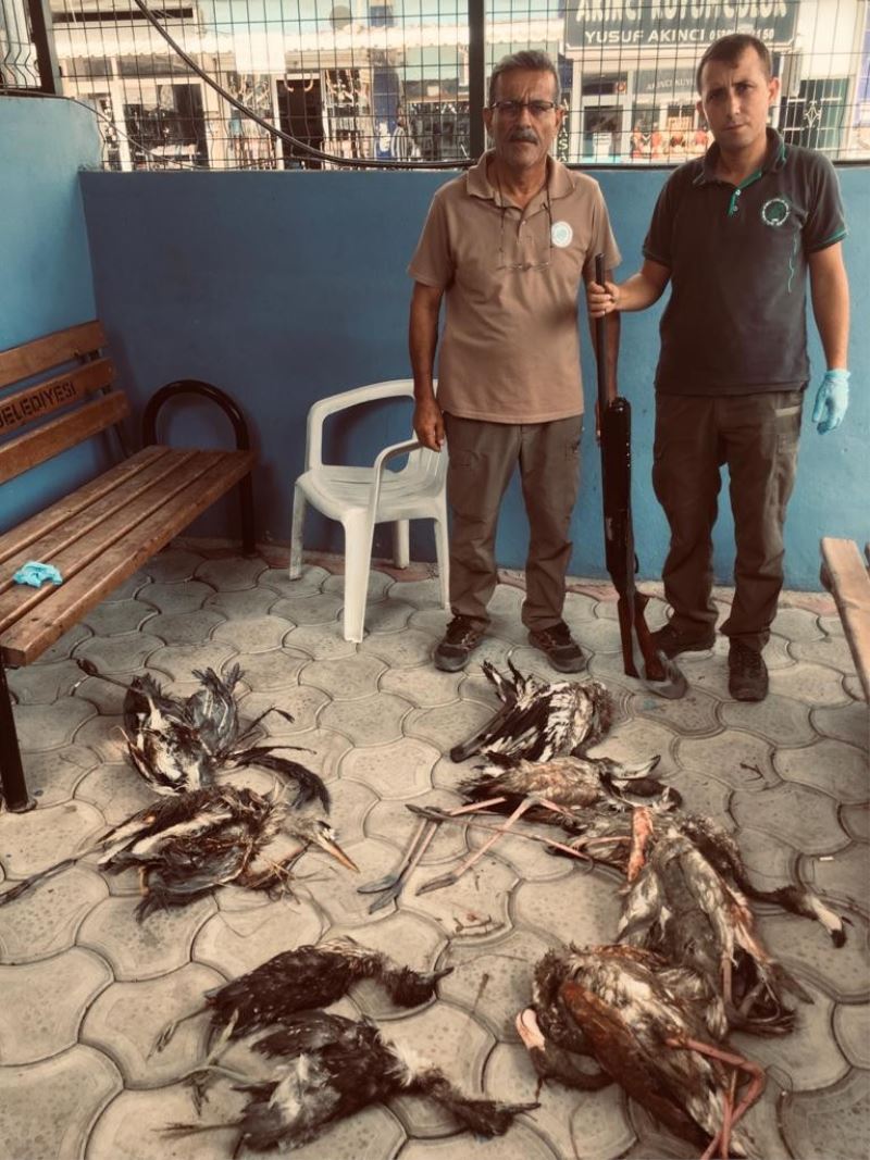 Yaban hayvanlarını avlayan kişiye 28 bin 491 lira ceza

