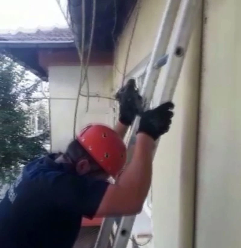 Çatıdan düşen yavru güvercini itfaiye yuvasına koydu
