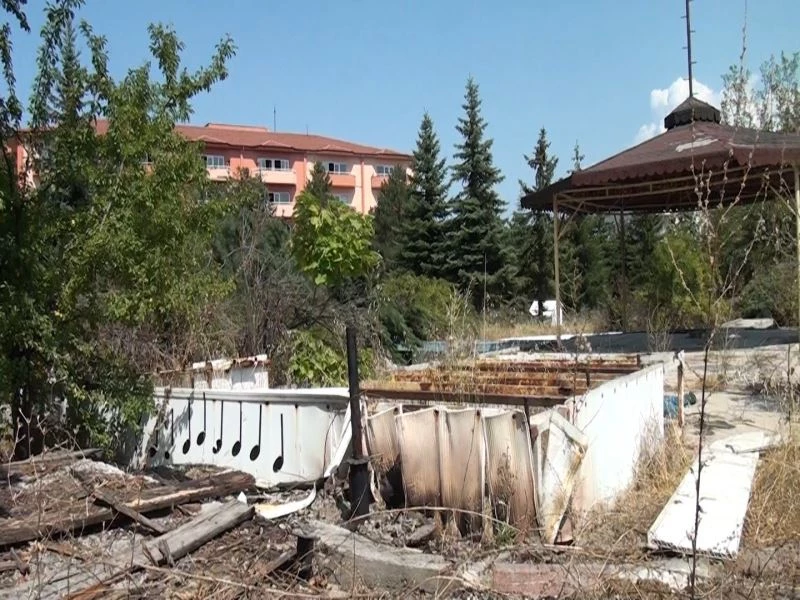 Kütahya’da ’ağaç katliamı’ iddiası
