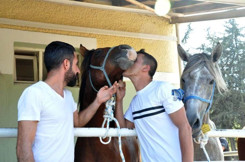 TİGEM tay satışından tek seferde 4 milyon 246 bin liralık gelir elde etti
