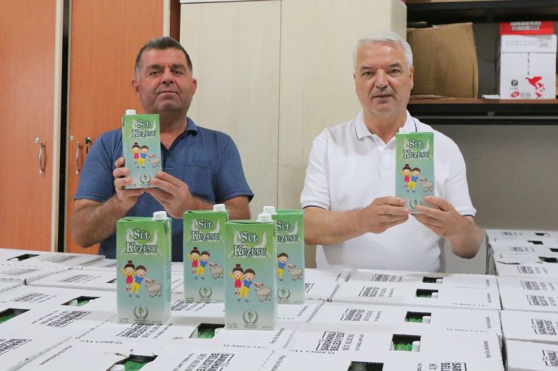 Saruhanlı Belediyesinin ’Süt Kuzusu’ Projesi başladı
