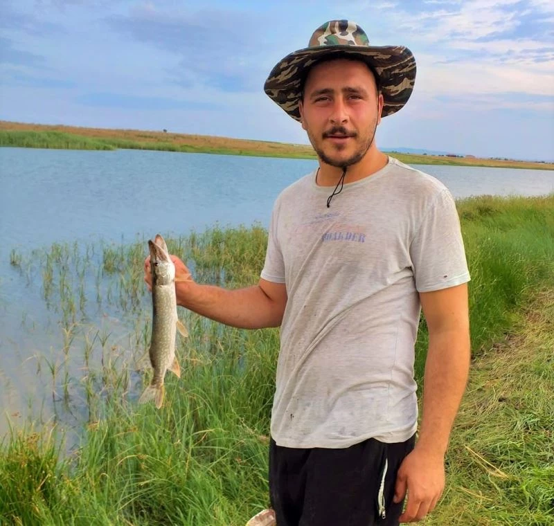 Düğünde çalan müziğin kesilmesi ile halayda kavga çıktı: 1 ölü
