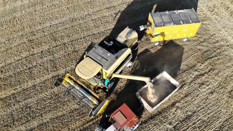 Tokat’ta buğday rekoltesinde artış bekleniyor
