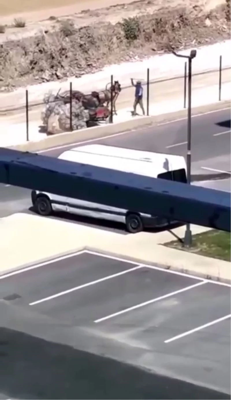  Yüklenen yükü taşıyamayan atın sopayla dövülmesi kamerada
