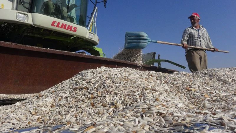 Aksaray 7 bitkisel ürünle Türkiye’de ilk 10’da
