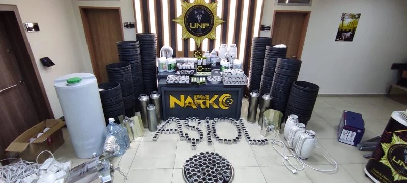 Evin bodrumunda 589 kök kenevir yetiştirdi
