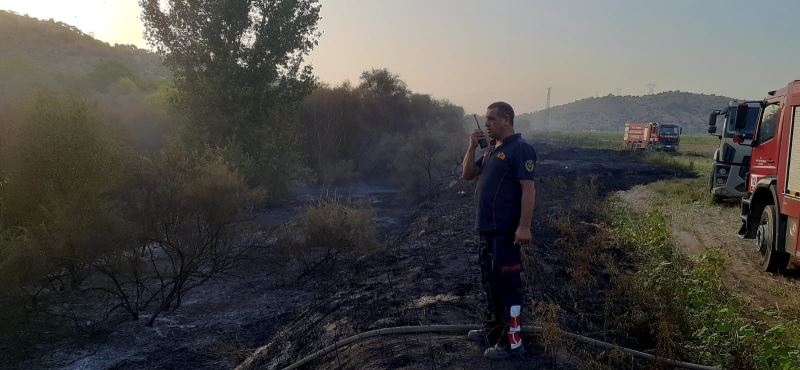 Ateş savaşçılarının hızlı müdahalesi zeytin ağaçlarını korudu
