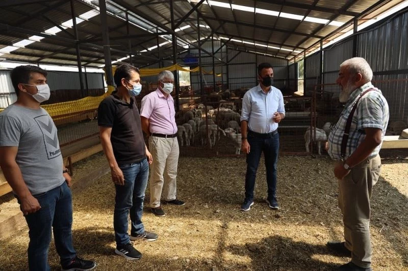 Küçükbaş hayvancılık işletmesinde incelemelerde bulundu
