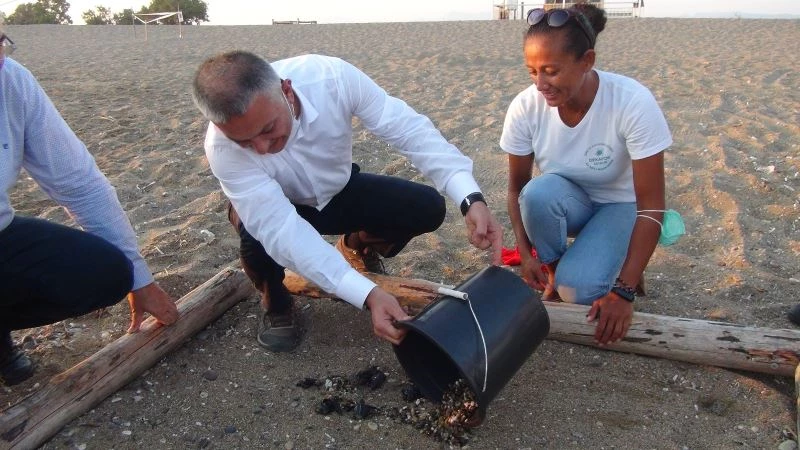 Deniz Kaplumbağaları Vali Yazıcı’nın elleriyle denizle buluştu

