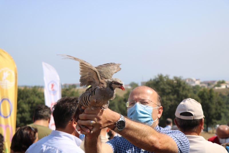 OMÜ’de kampüse keklik ve sülün salındı
