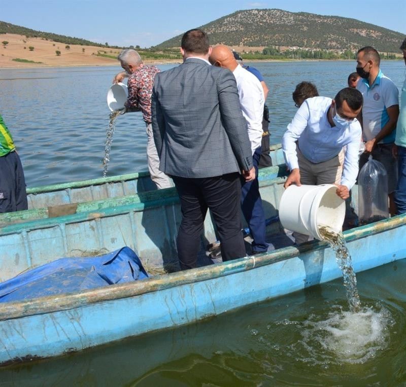 Isparta’da su kaynaklarına 933 bin 720 adet balık bırakıldı
