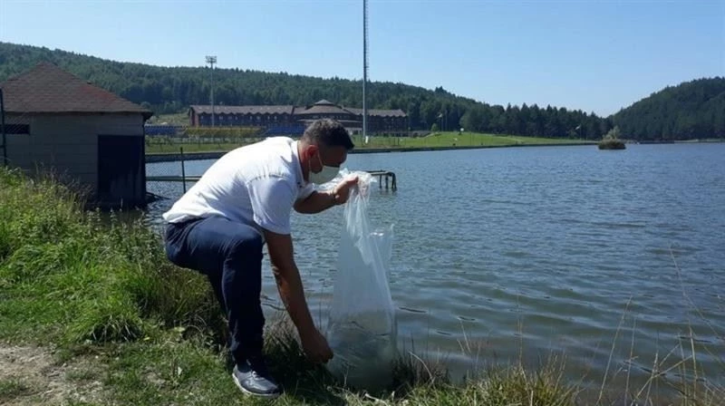 Göllere 70 bin yavru sazan balığı bırakıldı

