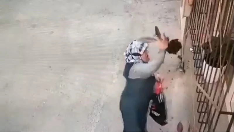 (Özel) Camdaki çiçeği saksıdan söküp çalan kadın kameralara yakalandı
