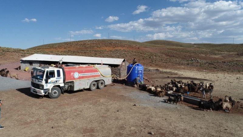 DBB kuraklıktan etkilenen hayvancılara tankerlerle su taşıyor
