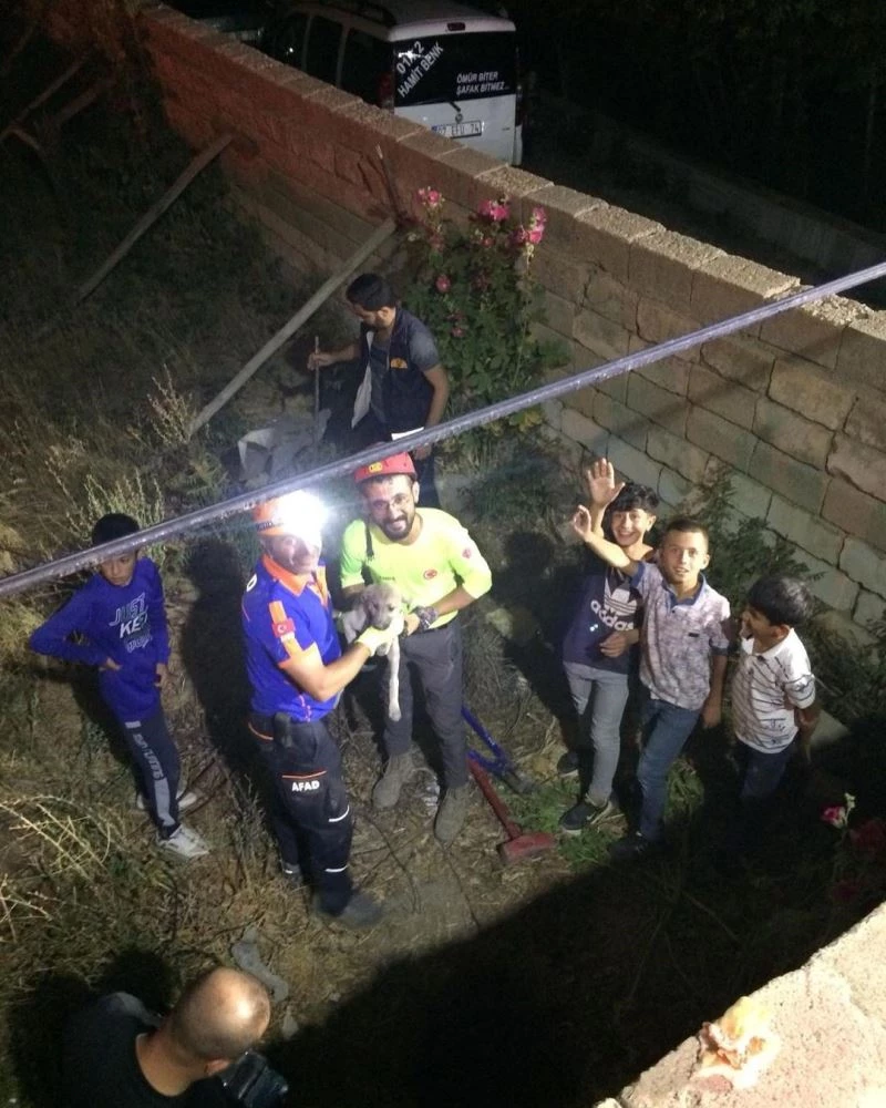 Çukurda sıkışan yavru köpek kurtarıldı
